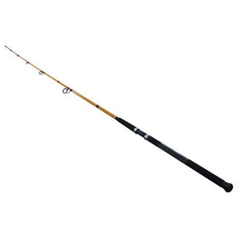 FT Series Fiberglass Surf Spin - Fishing Rod Surf reseña y precio